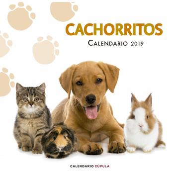 Calendario Cachorritos 2019 - AA VV
