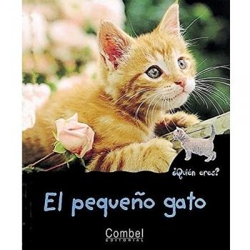 El pequeño gato