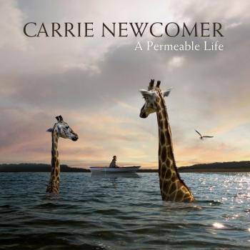 Permeable Life Vinyl Wall Art