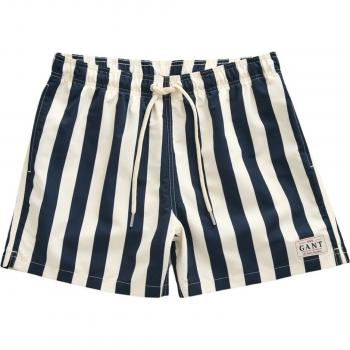 Gant Block Striped Men's Swim Shorts