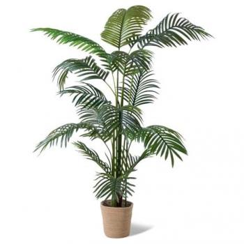 Planta Artificial en Maceta H160 cm - Frankystar