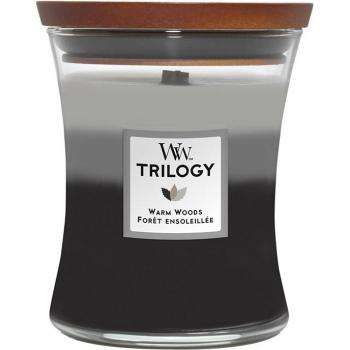 WoodWick Medium Hourglass Scented Trilogy Candle | Warm Woods | with Crackling Wick | Up to 60 Hours Burn Time