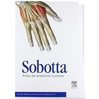 Pack Anatomía Sobotta: Paulsen + Feneis