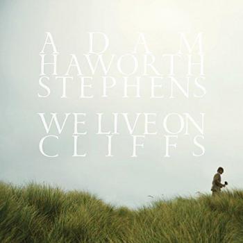 Adam Stephens We Live On Cliffs 2010 USA vinyl LP LBJ-153