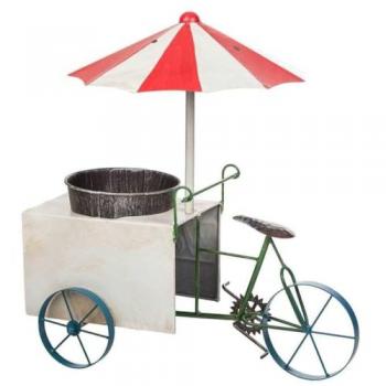 Macetero Triciclo de Metal Alexandra House 34 x 52 x 49 cm