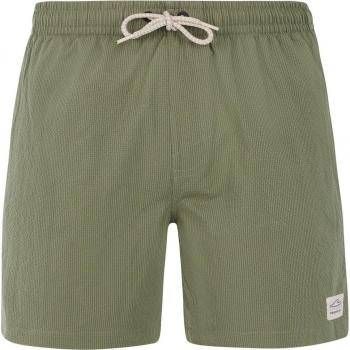 Bañador de hombre Protest Prtwyton corto