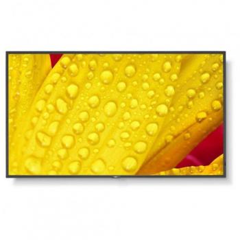 NEC 55 4K Ultra HD Commercial LED Display with Built-In Speakers