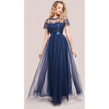 Goddiva Embroidered Mesh Maxi Dress - Navy