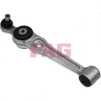 FAG Barra oscilante de suspensión de ruedas control arm 821 0444 10