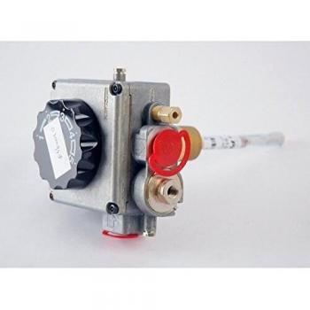 Termostato de Control de Gas AOSMITH 0300948(S)