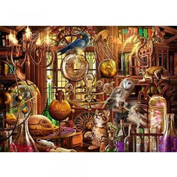 Ravensburger 1000 Piece Jigsaw Puzzle - The Magicians Study