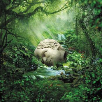 Weezer - CD SZNS: SPRING