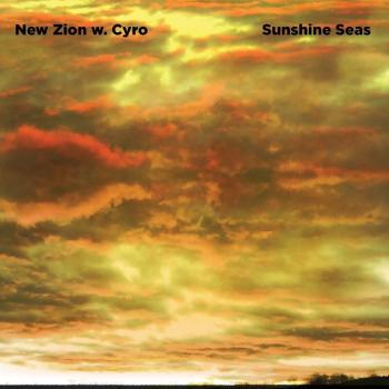 Sunshine Seas Vinyl Record (2 LP)