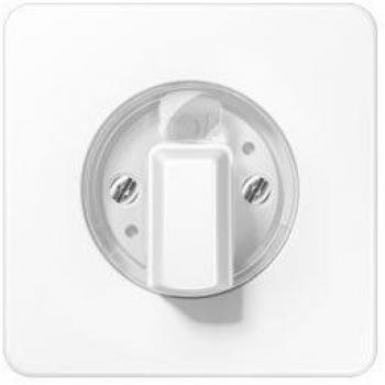 Placa central interruptor CD500 blanco alpino 0712172606 Jung