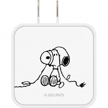 Adaptador de CA Snoopy USB/USB Tipo-C Gourmandise Cacahuates SNG-718A