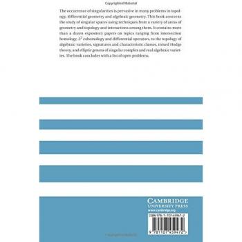 Topología de Espacios Estratificados (Publicaciones del Instituto de Investigación en Ciencias Matemáticas, Volumen 58)