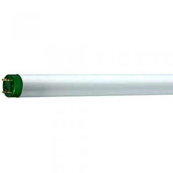 Philips Tubo TL-D Eco 32W/830 G13, Blanco cálido