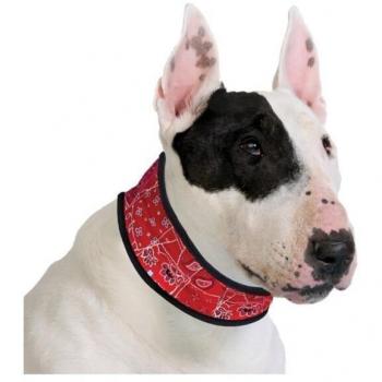 Collar Refrigerante para Perros Tamaño L Color Rojo con Dibujos