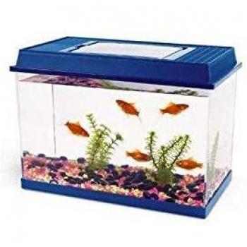 SAVIC Caja Transporte Fauna Box-1.5 L, 17.5 x 11.5 x 13 cm