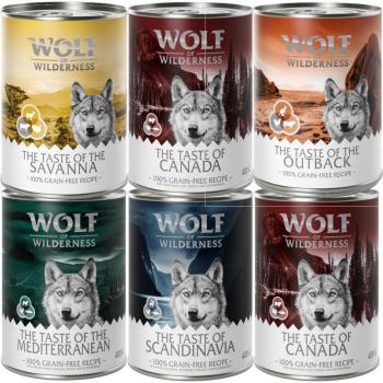Wolf of Wilderness 24 x 400 g - Mixed Pack Economy Bundle: Canada, Scandinavia, Mediterranean, Outback & Savanna