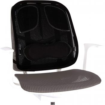 Fellowes - Mesh Professional Series - Respaldo Ergonómico de Rejilla - Cojín con Soporte Lumbar de Malla - Apoyo para la Espalda, Adaptable a Cualquier Silla. Ayuda a Mantener la Postura Correcta