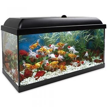 ICA KDB100 Kit Aqua-Led Pro 100 con Filtro Interior, Negro