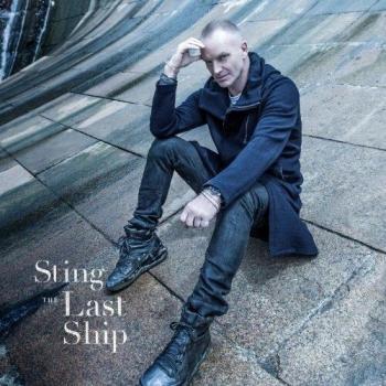 Conos de pino natural de abeto de Noruega de 5 a 7 pulgadas de largo - Sting