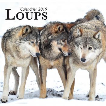Calendrier Loups