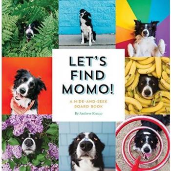 Let's Find Momo!: An Interactive Hide-and-Seek Board Book