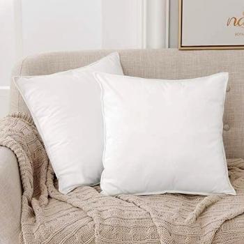 Deconovo Fundas para Cojines de Almohada del Sofá Cubierta Suave Decorativa Protector para Hogar 60 x 60 cm 2 Piezas Blanco