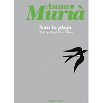 Sota la pluja: Divuit contes: 8 (Portàtils
