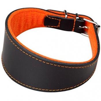 Arppe 2154014506 Collar Galgo Cuero Superfelt, Negro y Naranja