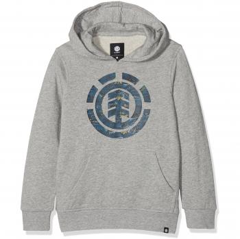 Element Logo Fill HO Sudadera con Capucha, Hombre, Gris