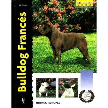 Bulldog Francés