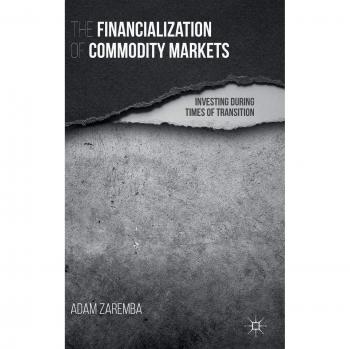 The Financialization of Commodity Markets: Investing During Times of Transition