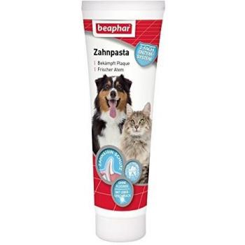 Beaphar Dental Kit para Perros y Gatos - Incluye Pasta de Dientes (100 g) y Cepillo Dental