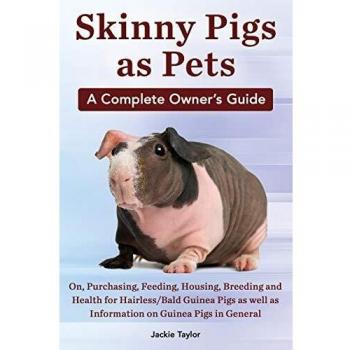 Skinny Pigs as Pets. a Complete Owner's Guide On, Purchasing, Feeding, Housing, Breeding and Health for Hairless/Bald Guinea Pigs as Well as Informati