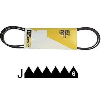 Correa para lavadora Indesit 1201 J6 EL o 1198 J6 - C00119126