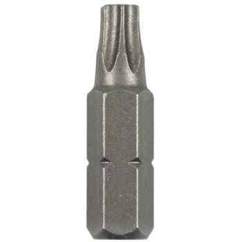 Pack de 2 puntas Bosch Torx T25 25 mm
