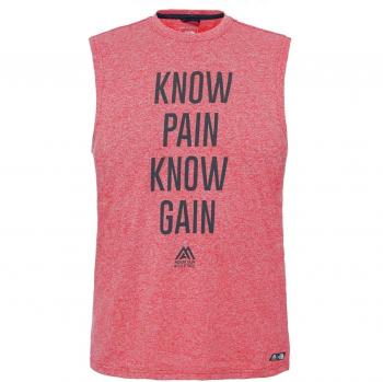 North Face Graphic Reaxion Amp S/L - Camiseta para hombre, color rojo, talla S
