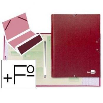Liderpapel CS03 - Carpeta clasificadora 12 departamentos