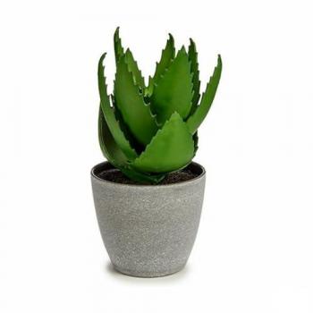 Planta Decorativa Aloe Vera 15 x 23,5 x 15 cm Gris Verde Plástico (6 Unidades)