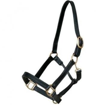 Cabestro de Piel Negro Pony