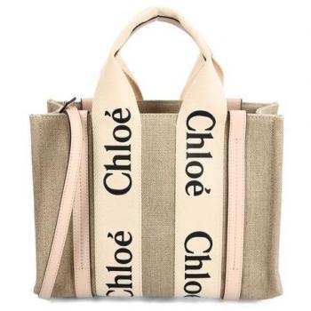 Chloé Women's Woody Small Canvas and Leather Tote Bag in Powder, Size UNI, CHC22AS397I266J5
