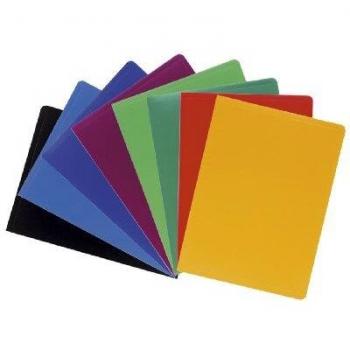 EXACOMPTA Lot de 12 Protège-documents A4 20 pochettes 40 Vues Assortis sans choix possible