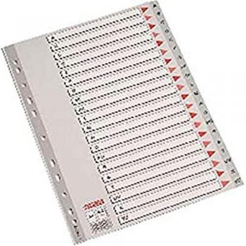Esselte Abecedarios de plástico, PP, Tamaño folio, Gama STD, Gris, 47138