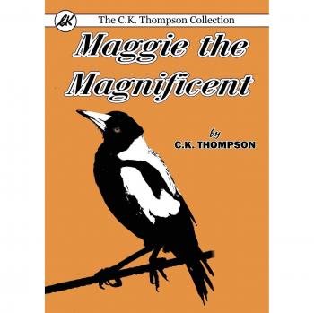 Maggie la Magnífica: Libro de Cuentos para Niños con Ilustraciones Coloridas y Mensajes Inspiradores