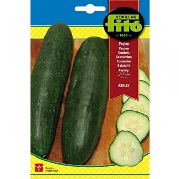 Semillas Fitó 234 - Semillas de Pepino Ashley