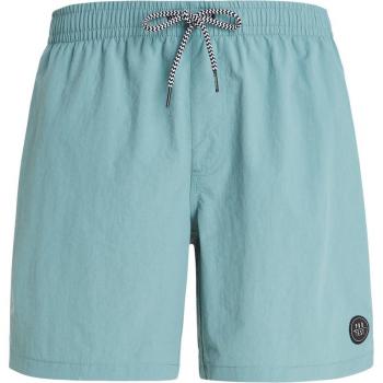 Protest Faster Men's Beach Shorts