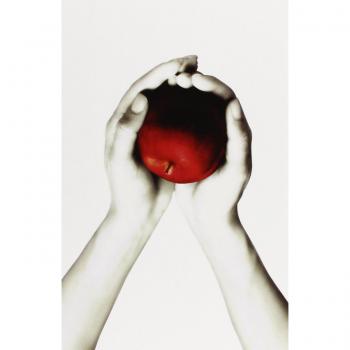 The Twilight Saga White Collection